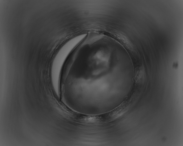 X0000091640365200708301403