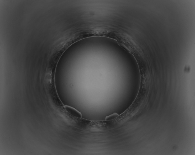 X0000091640368200708301403