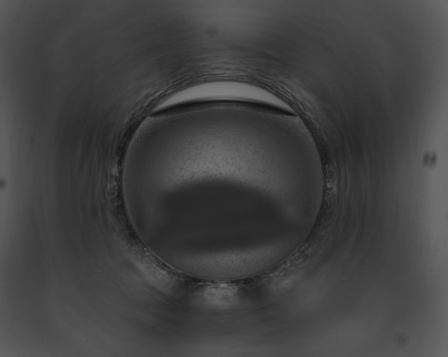 X0000091640369200708301403