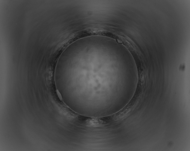 X0000091640372200708301404