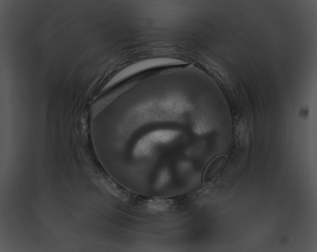X0000091640373200708301404