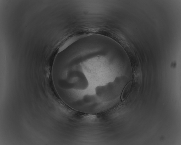 X0000091640374200708301404