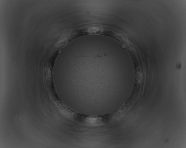 X0000091640375200708301404