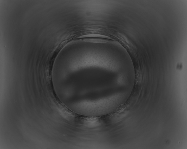 X0000091640377200708301404
