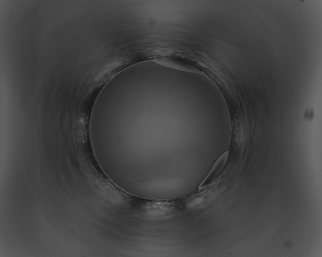 X0000091640378200708301404