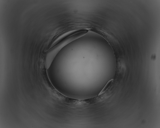 X0000091640379200708301404