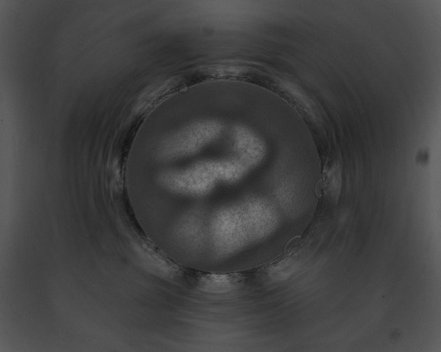 X0000091640381200708301404
