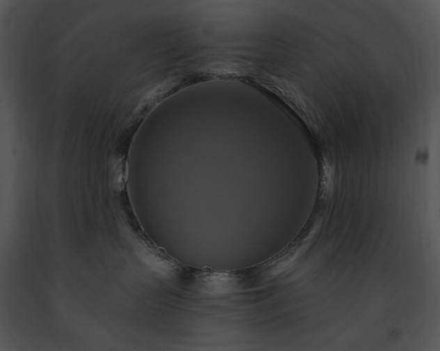 X0000091640383200708301404
