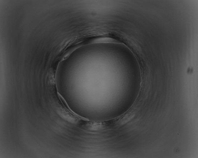 X0000091640384200708301404