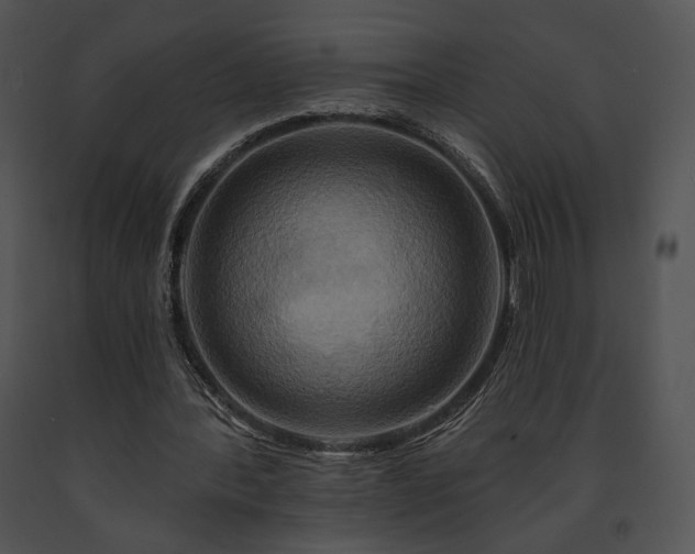 X0000091640388200708301403