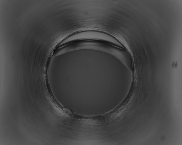 X0000091640389200708301403