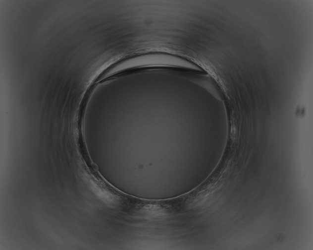 X0000091640390200708301403