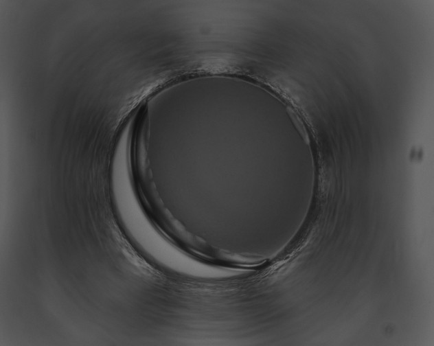 X0000091640393200708301403