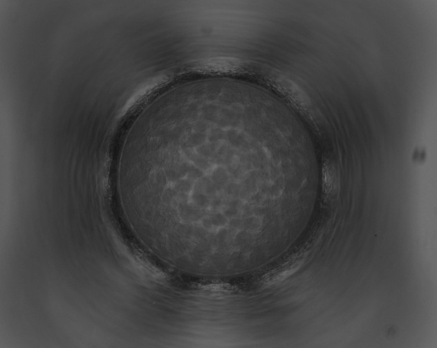 X0000091640396200708301403