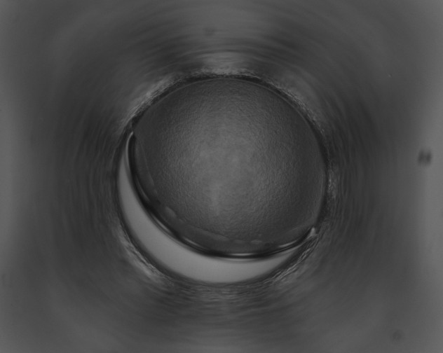 X0000091640397200708301403