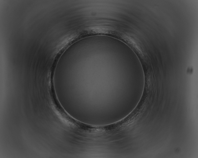 X0000091640398200708301403