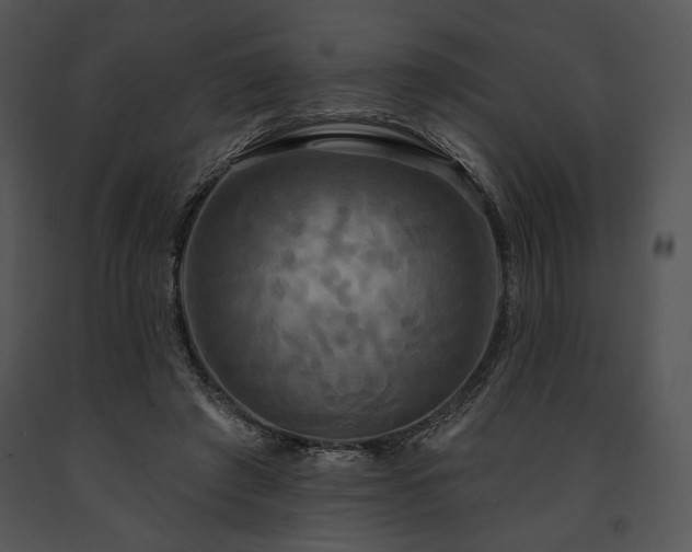 X0000091640401200708301403