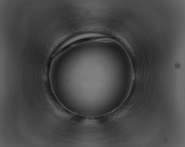 X0000091640403200708301403