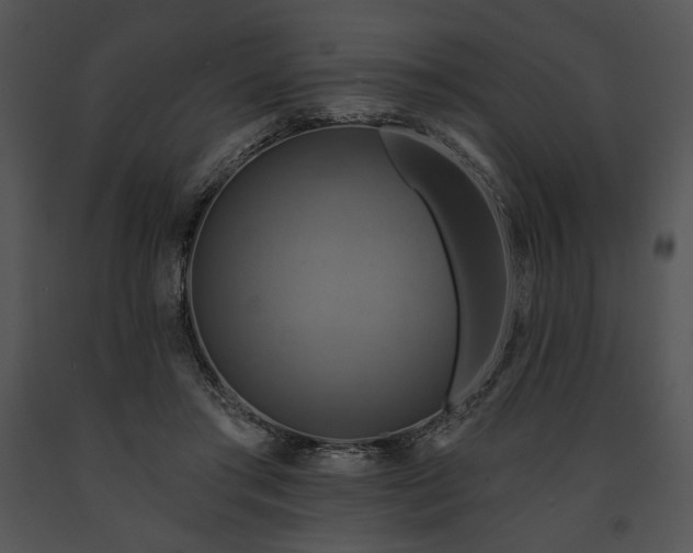 X0000091640405200708301403
