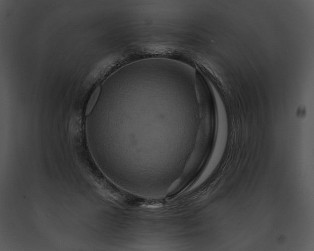 X0000091640407200708301403