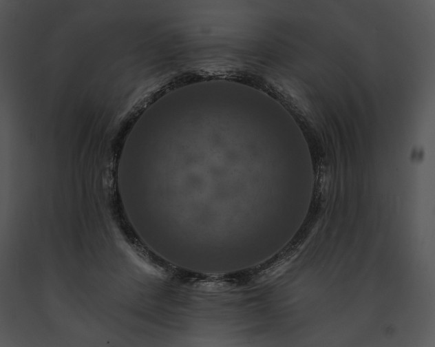 X0000091640408200708301403