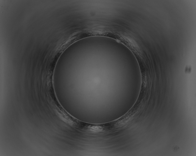 X0000091640409200708301403