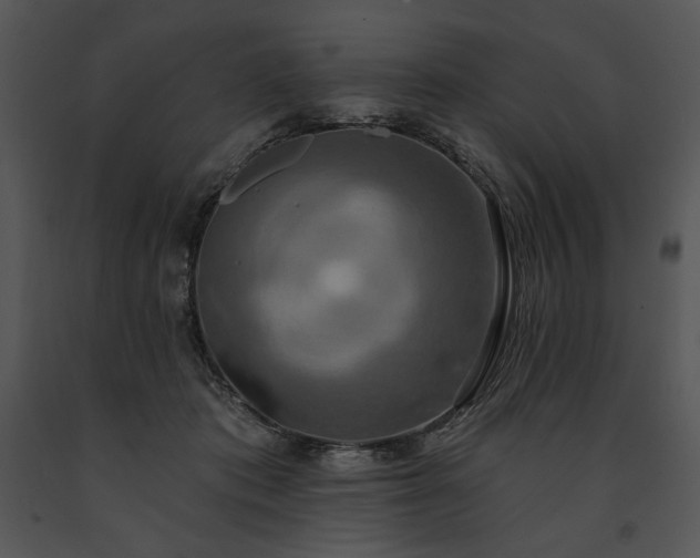 X0000091640413200708301403