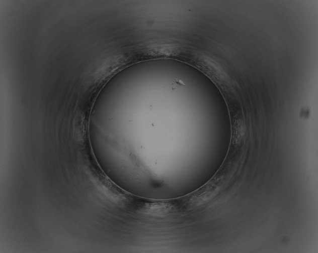 X0000091640414200708301403