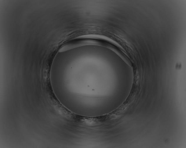 X0000091640417200708301402