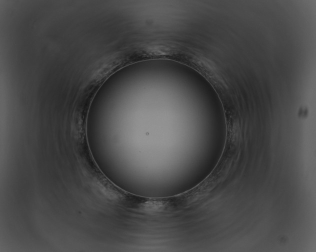 X0000091640418200708301402