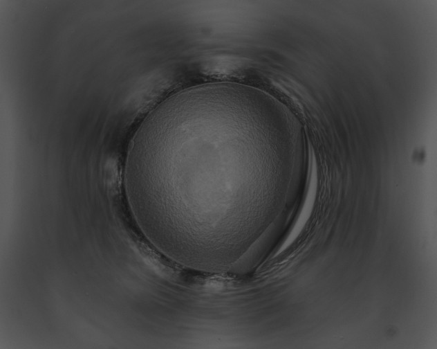 X0000091640420200708301402