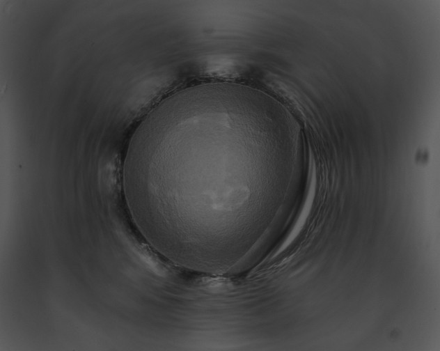 X0000091640424200708301402