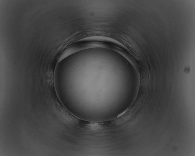 X0000091640425200708301402