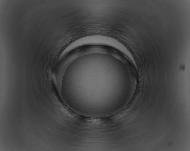 X0000091640428200708301402