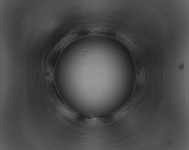 X0000091640430200708301402