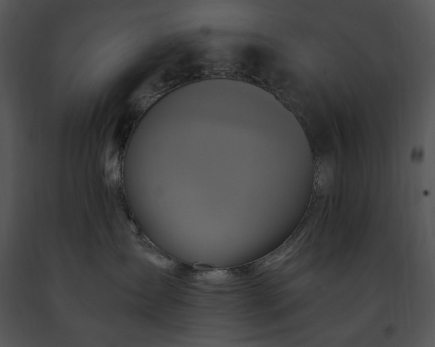 X0000091640431200708301402