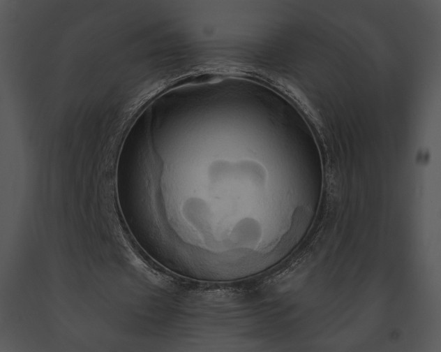 X0000091640433200708301402