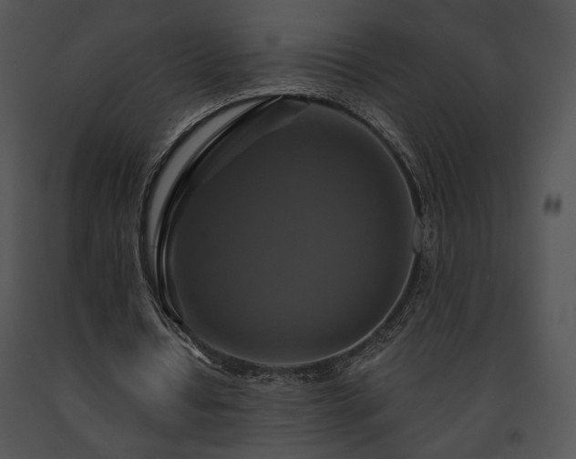 X0000091640434200708301402