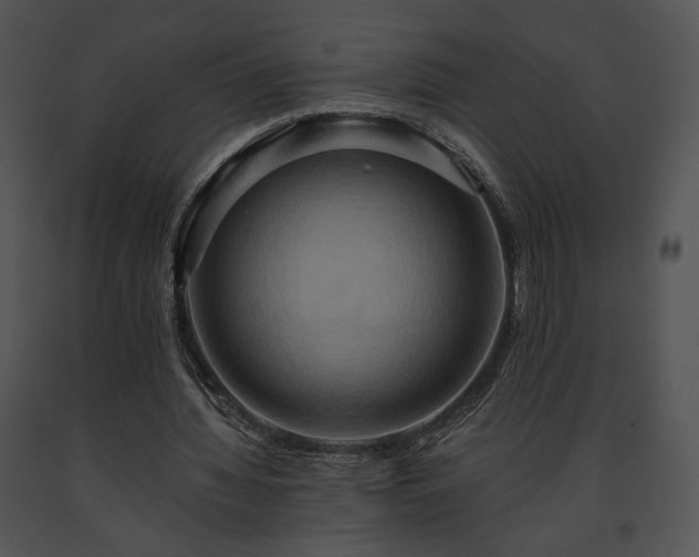 X0000091640436200708301402