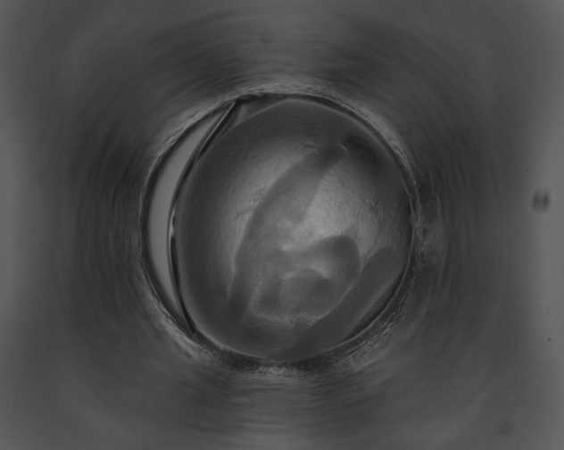 X0000091640437200708301402