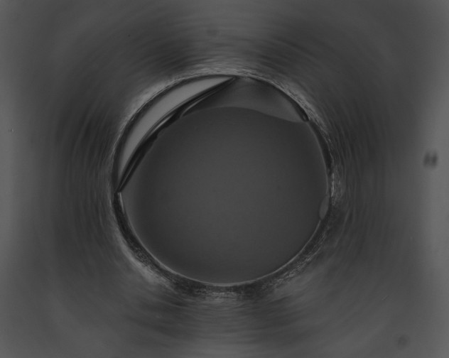 X0000091640438200708301402