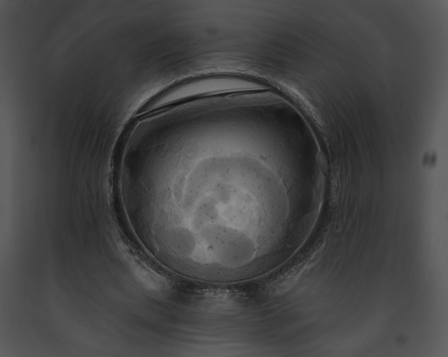 X0000091640439200708301402