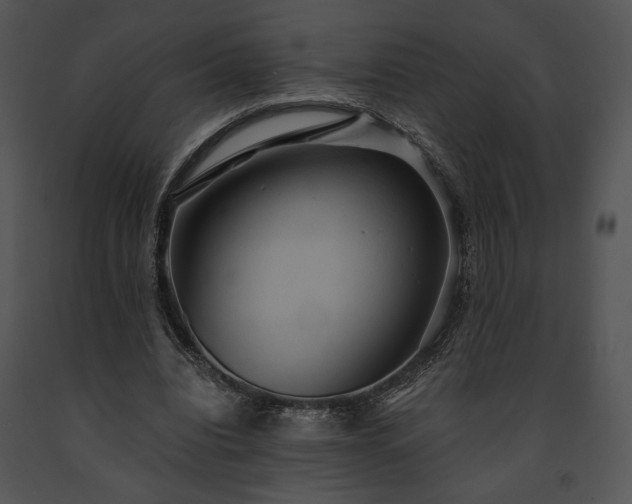 X0000091640440200708301402