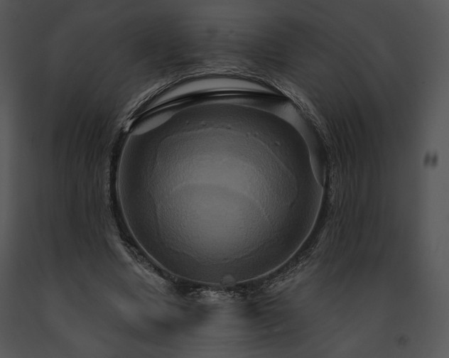 X0000091640442200708301402
