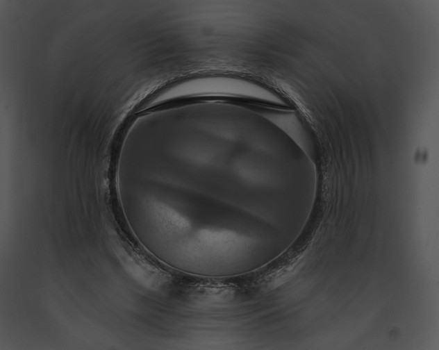 X0000091640443200708301402