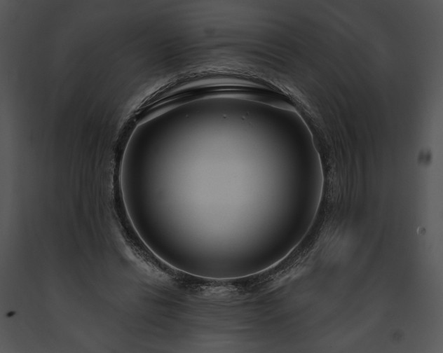 X0000091640446200708301402