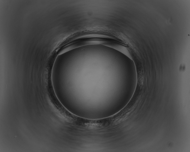 X0000091640448200708301402