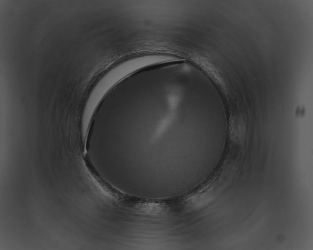 X0000091640449200708301402