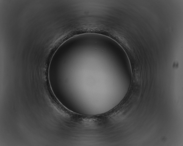 X0000091640450200708301402