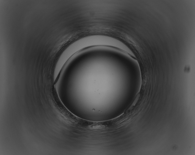 X0000091640452200708301402